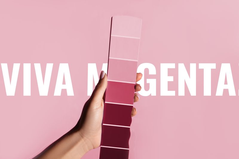 viva magenta pantone colour of the year strip