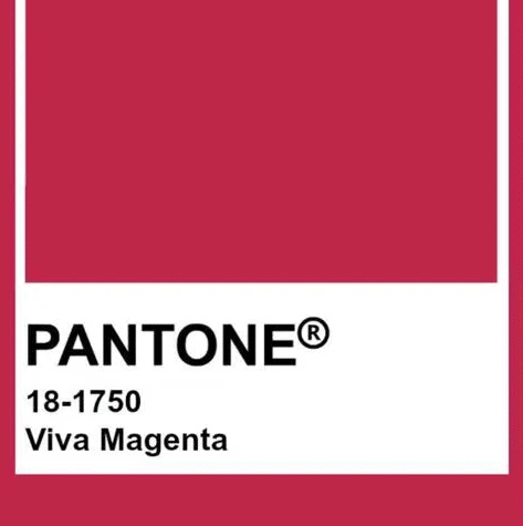 viva magenta swatch